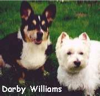 Darby, seen here with best girl Demi lost his battle to Lymphoma at age 13 1/2, but thanks Carol for her 