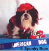 Spunky Bum (13yrs/from NJ) is a shining example that there ARE long term survivors.  Though sadly , he died on December 11,  2001  he had celebrated his 3rd year anniversary remission from Lymphoma September 2001